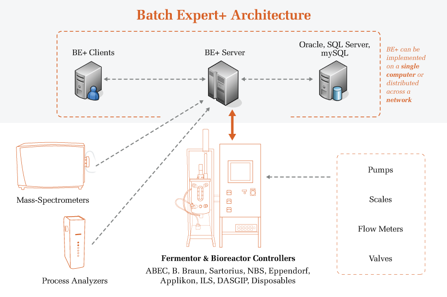 Batch Expert Plus Architecture